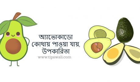 https://tipswali.com/wp-content/uploads/2021/04/avocado-in-bangladesh.jpg